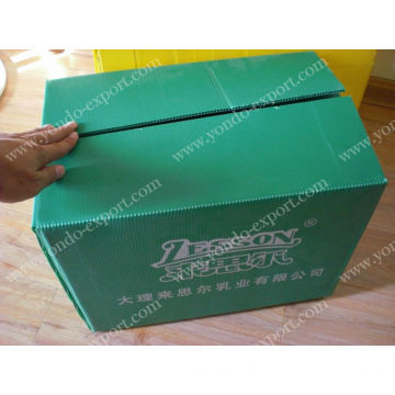 Polypropylene PP Fresh Fruit Packing Box